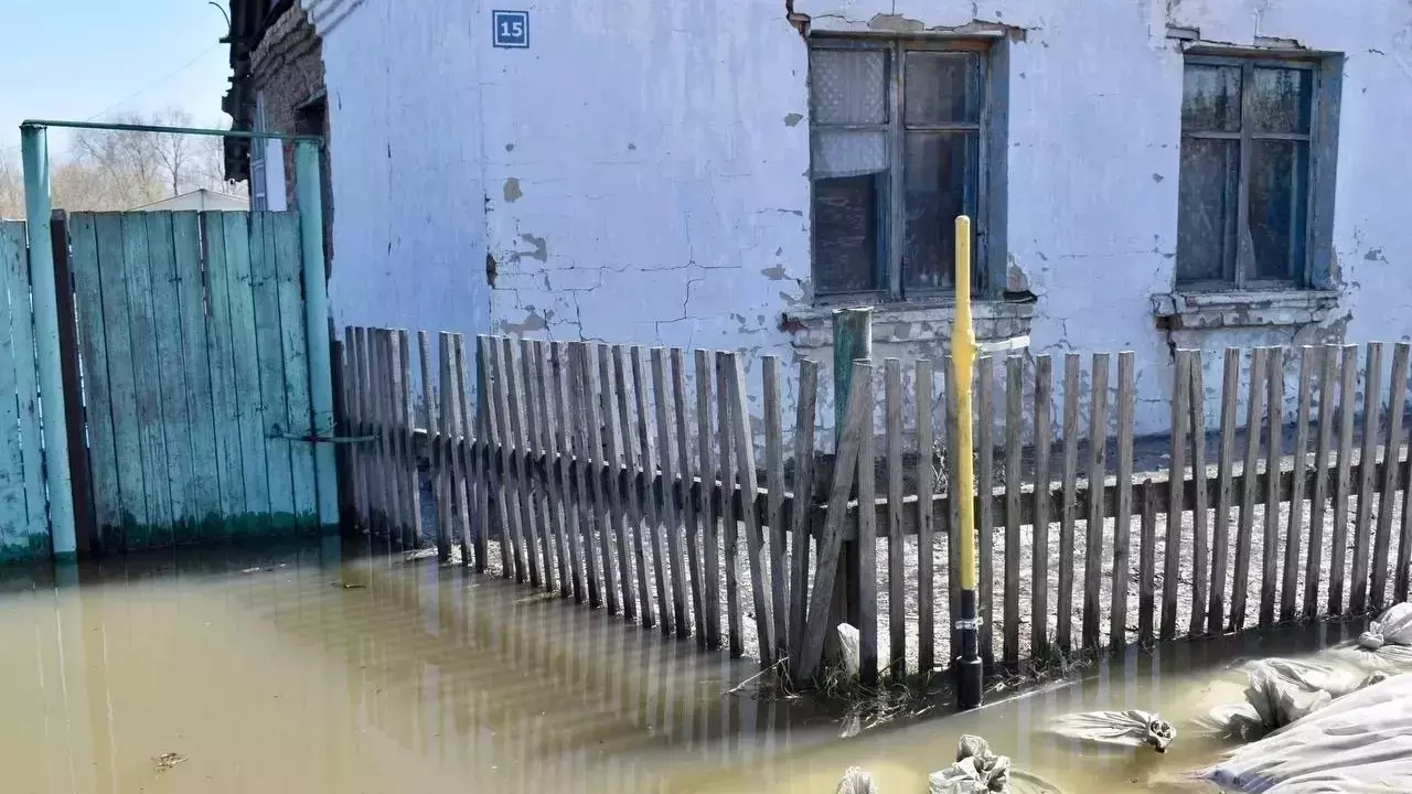 Тобол затопил пойму рядом с деревней Пономарева и селом Новолыбаево Заводоуковского городского округа.