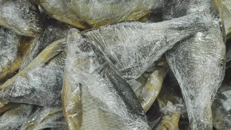 Мор и трупы на берегу: эксперты прогнозируют массовую гибель рыб в обмелевшей Туре