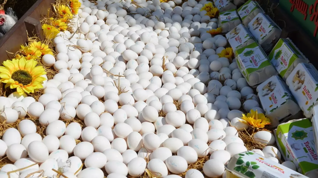 Почему в Тюменской области массово раскупают яйца и чем опасен их дефицит.