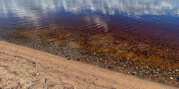 Специалисты Росприроднадзора выявили слив жидких отходов в приток реки Ишим