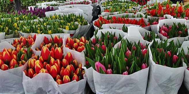  Тюменцам рассказали о выборе цветов к 14 февраля