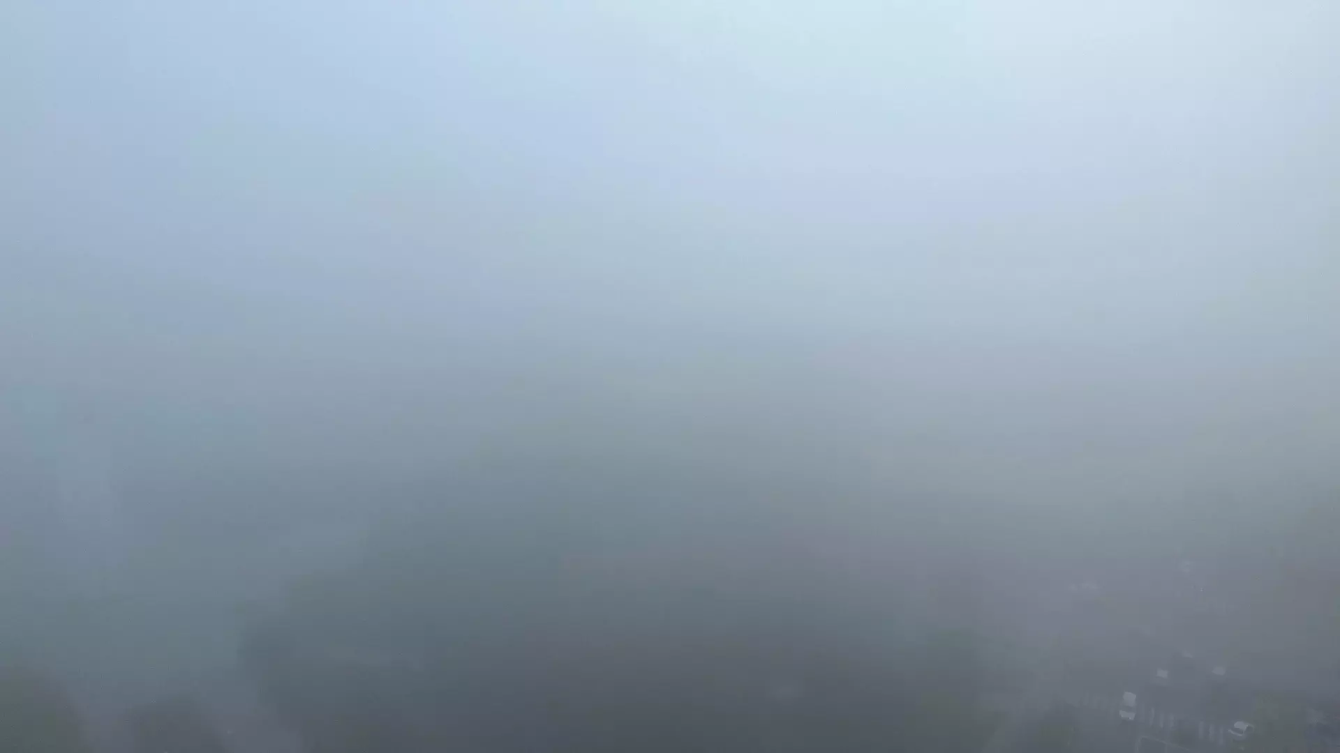 Из-за тумана в тюменском Рощино произошла массовая задержка рейсов