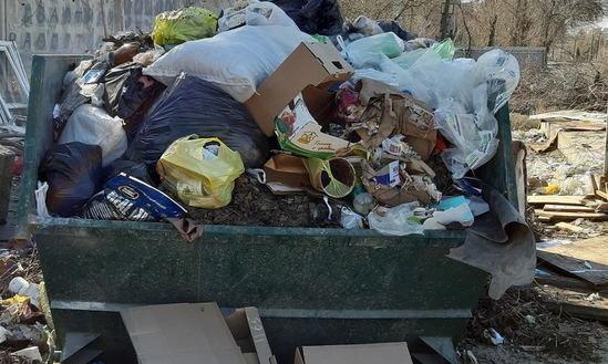 В Тюмени около улицы Верещагина возникла свалка с мертвыми кошками и собаками