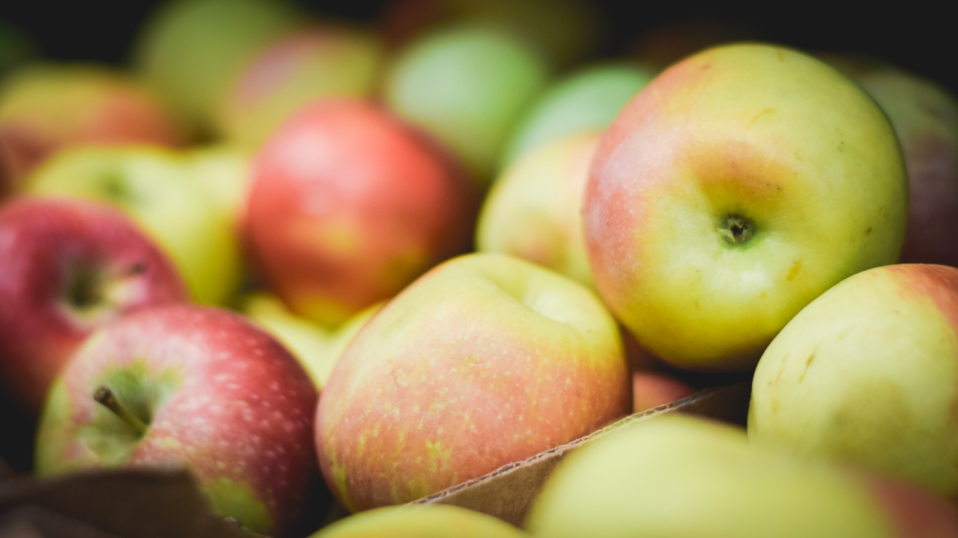 Работодатели заплатят тюменцам до 230 тысяч рублей за сбор яблок