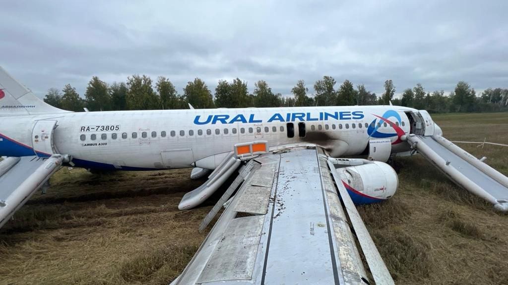 Airbus A320 авиакомпании «Уральские авиалинии», который летел из Сочи в Омск, совершил экстренную посадку в Новосибирской области.