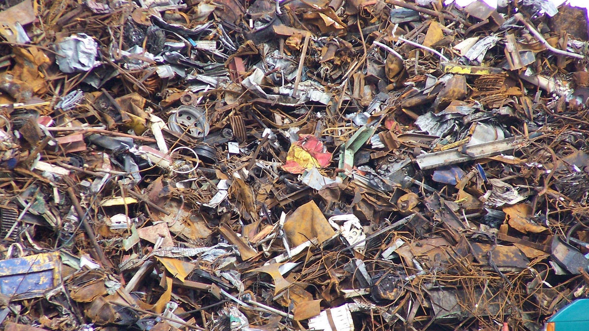6 РЭО решит вопрос переполненных мусорных полигонов Липецкой области