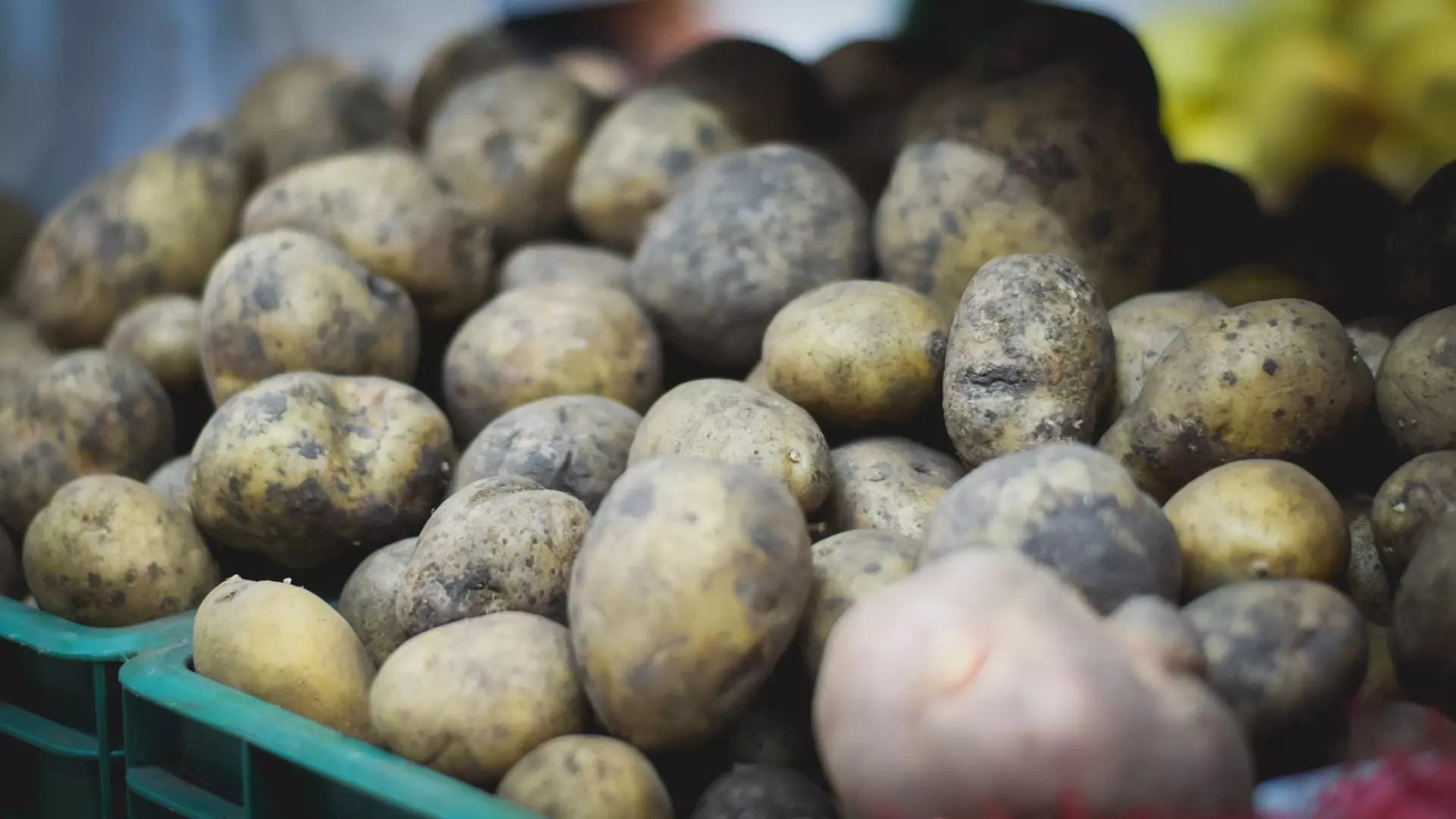 В Тюмени упали цены на картофель и лук