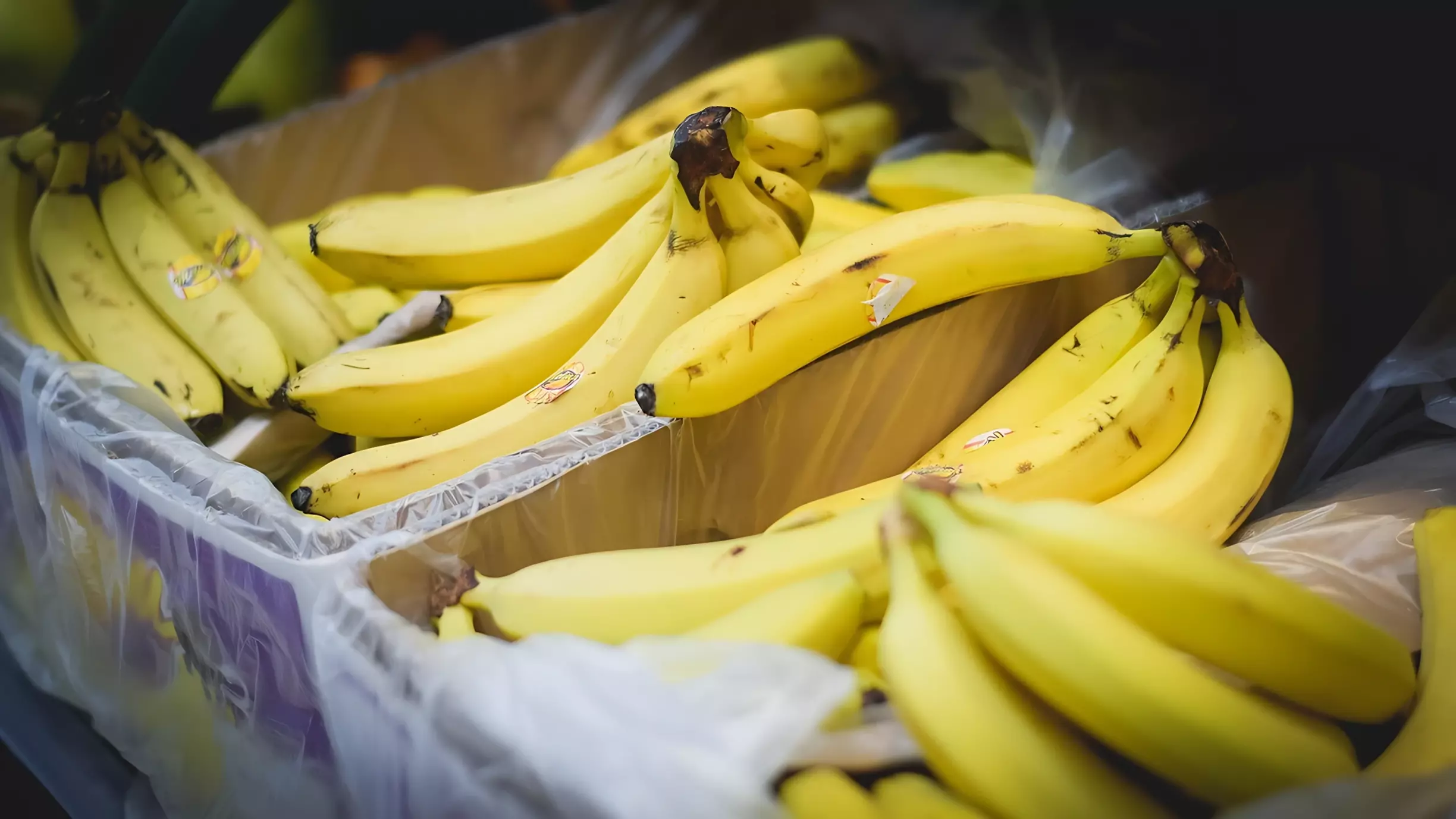 В тюменских магазинах подешевели бананы