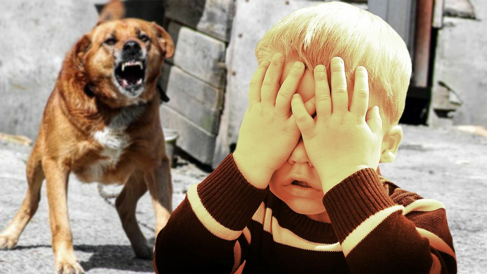 Хозяин собаки заплатит 1 млн рублей за изуродованное лицо маленького тюменца