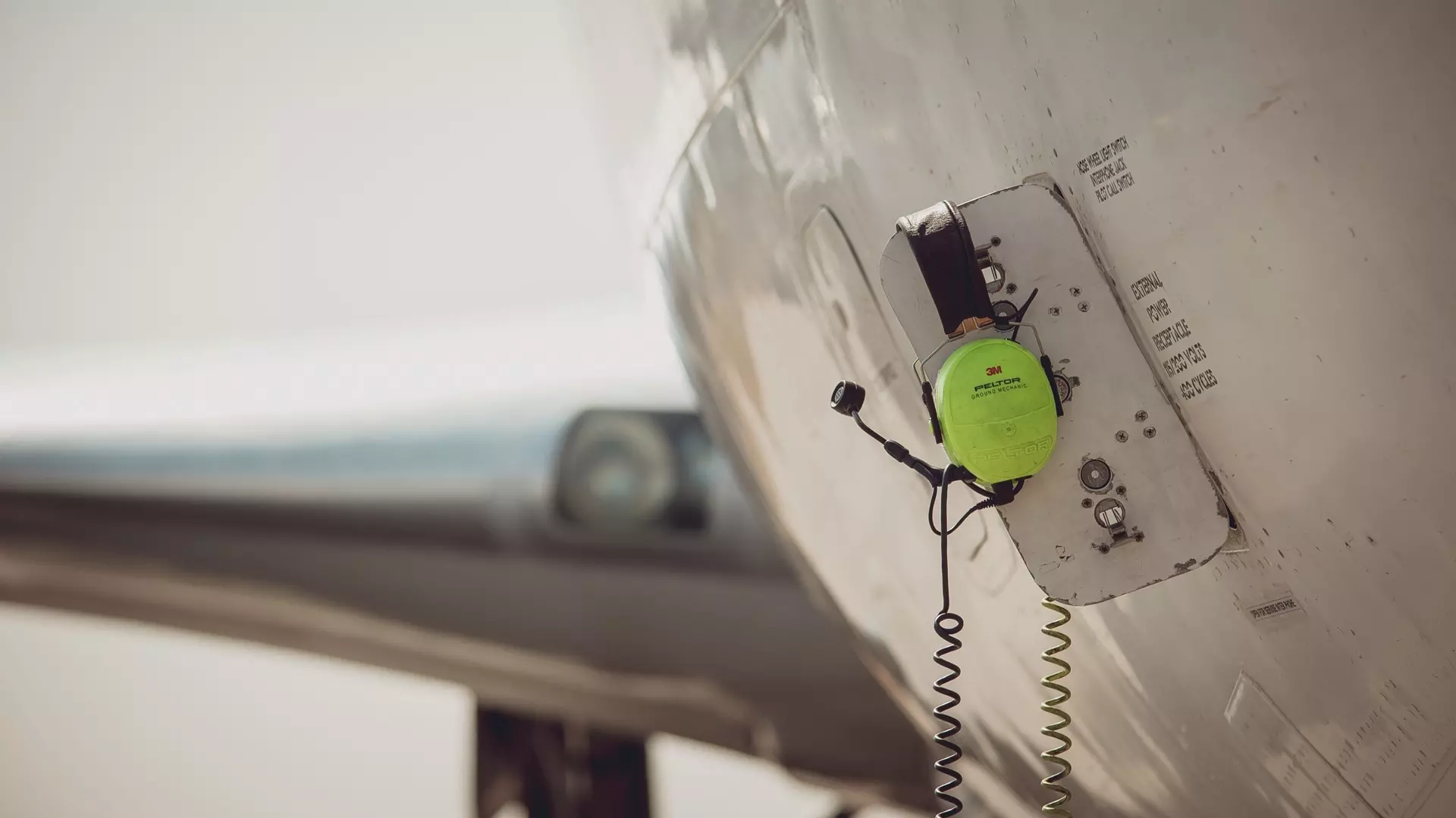 В Тобольске утка вывела из строя двигатель самолета «Россия»