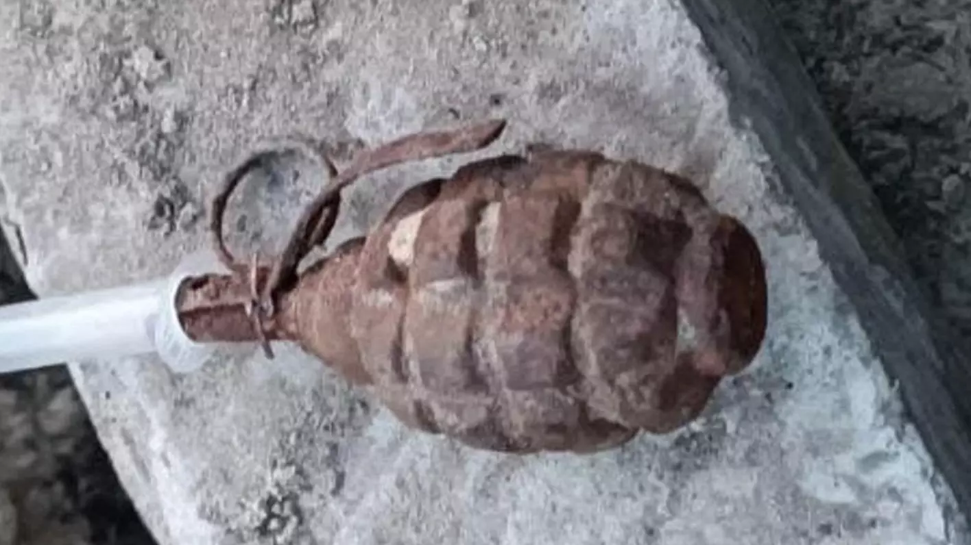 В Тобольске дети нашли предмет, похожий на гранату, в лесу