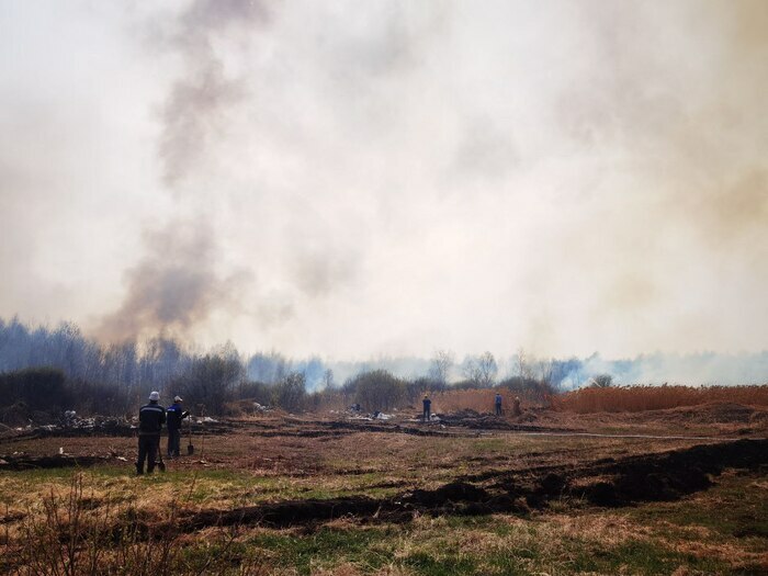 В Тюменской области завели 10 уголовных дел по факту природных пожаров