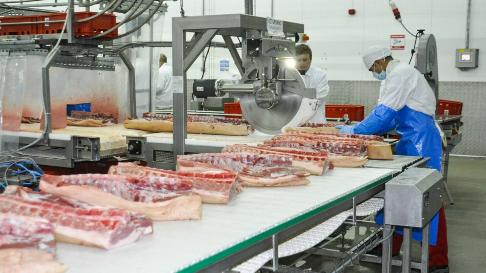 Тюменский агрохолдинг займется снижением стоимости свинины