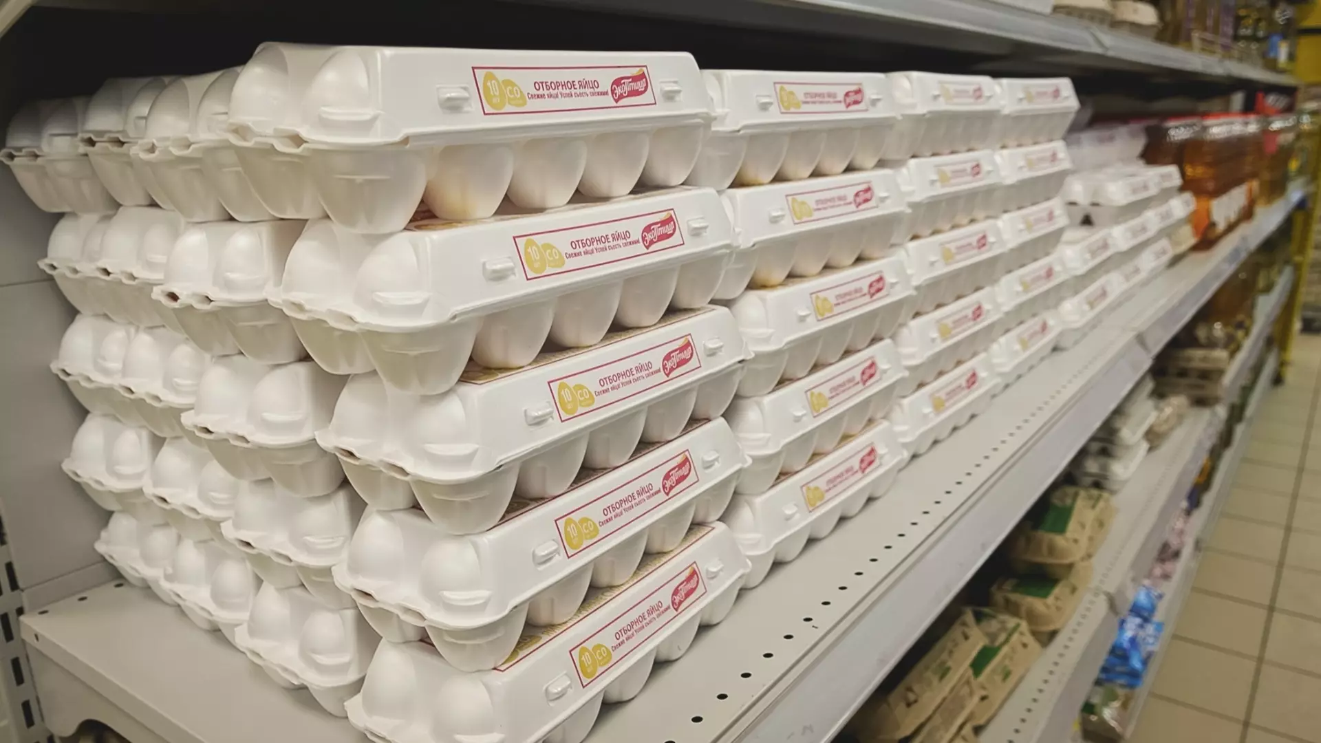 Птицефабрики Тюменской области снизят цены на яйца