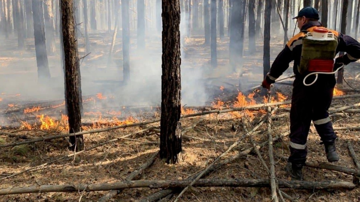 В тюменских селах могут произойти новые пожар. Местные фермеры бросают участки