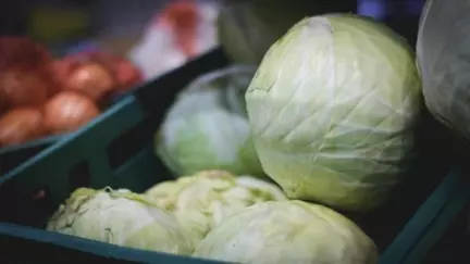 В Тюменской области в этом году урожайность овощей достигла 454 центнера с одного га