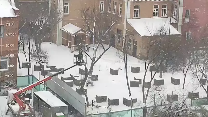 «Все в угоду ресторану»: тюменец пожаловался на вырубку деревьев в сквере Згерского