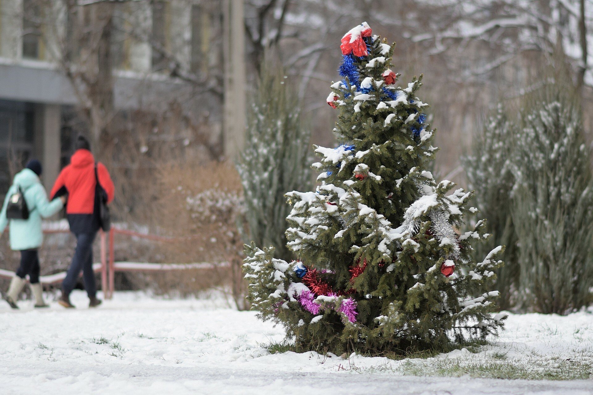 Тюменцы предпочитают встречать Новый год с искусственными елками.
