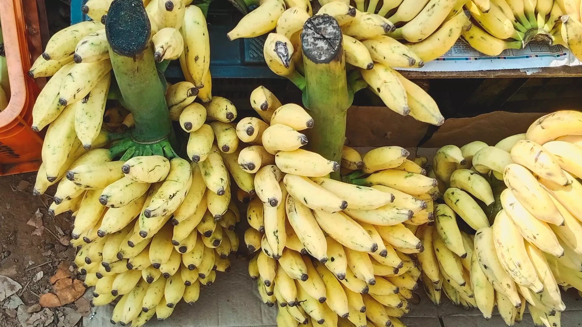 Цены на бананы в Тюмени растут