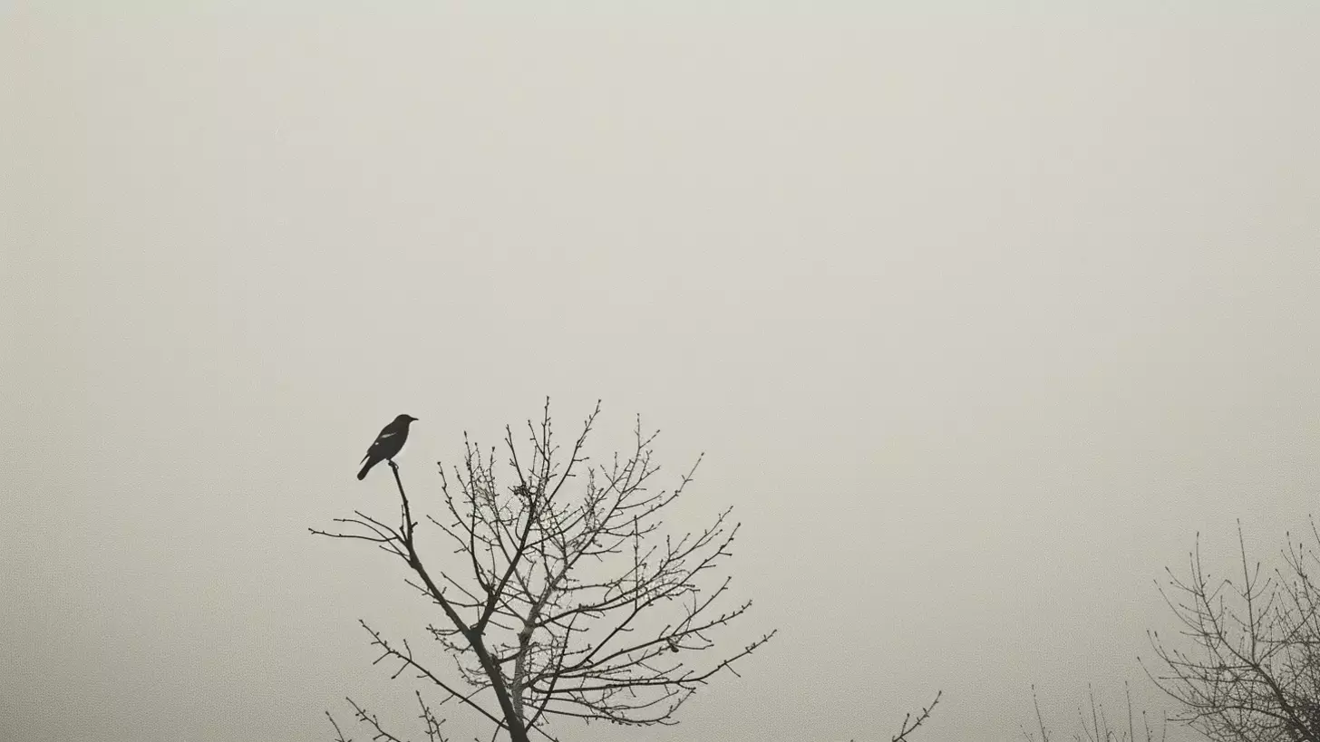 Тюменскую область накроют ливни и туман