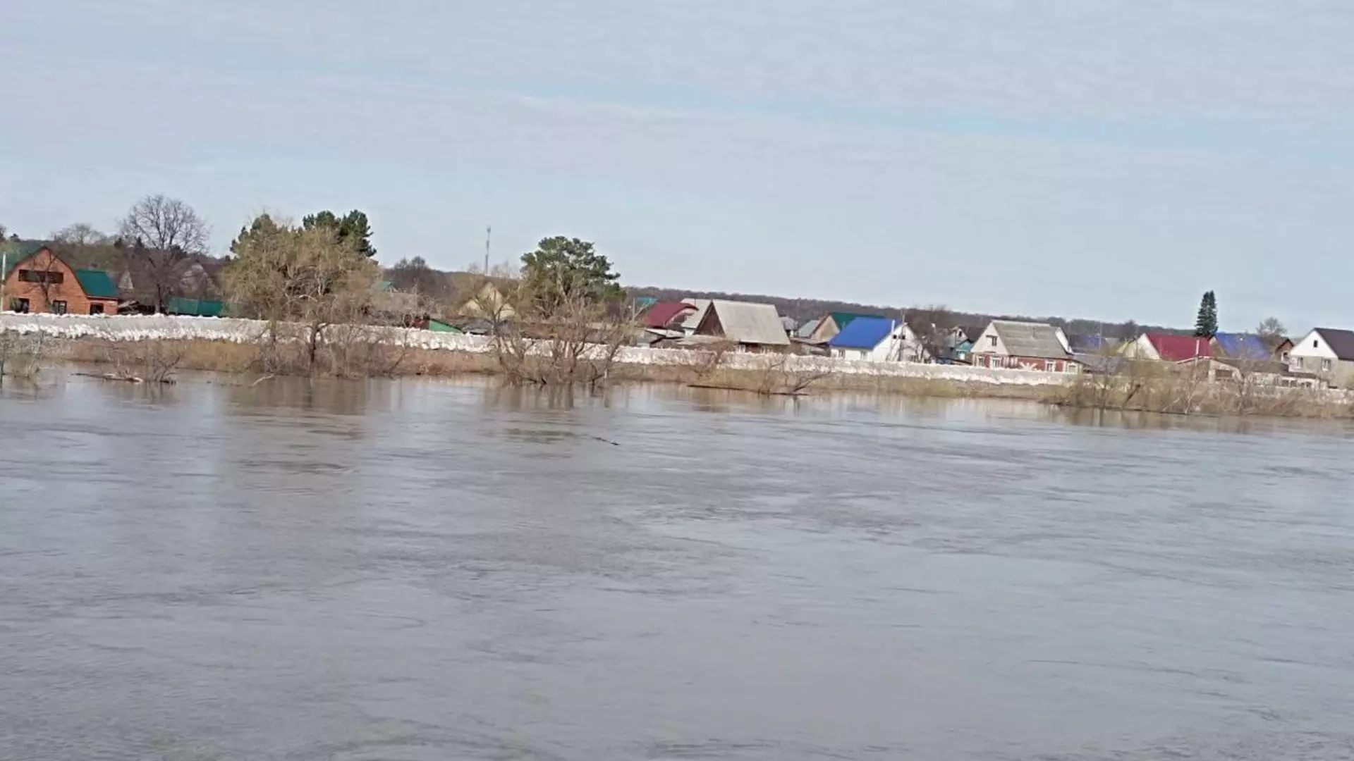 Вода в реке Ишим в тюменском селе Викулово за сутки поднялась на 12 см, до 1163 см