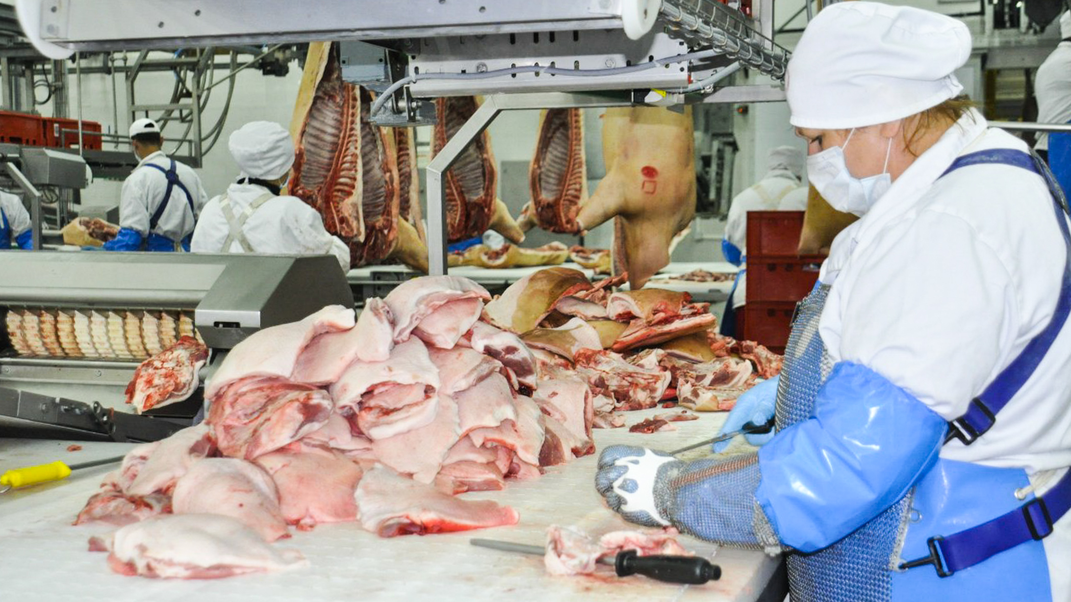 Тюменские предприниматели произвели 140 тонн мяса из «воздуха»