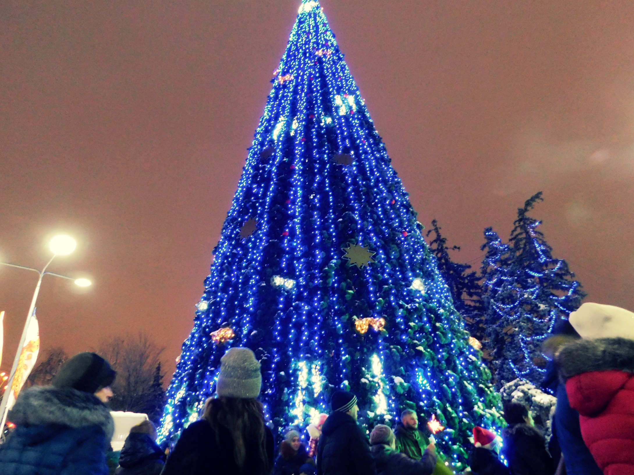 Главная елка Тобольска зажжет огни 23 декабря