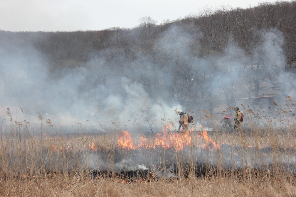В ХМАО огнеборцы побеждают лесные пожары