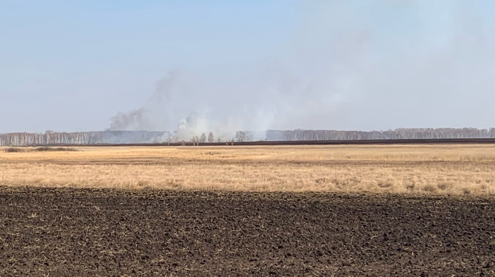 Глава Рослесхоза отметил ошибки тюменских властей из-за пожаров в лесах