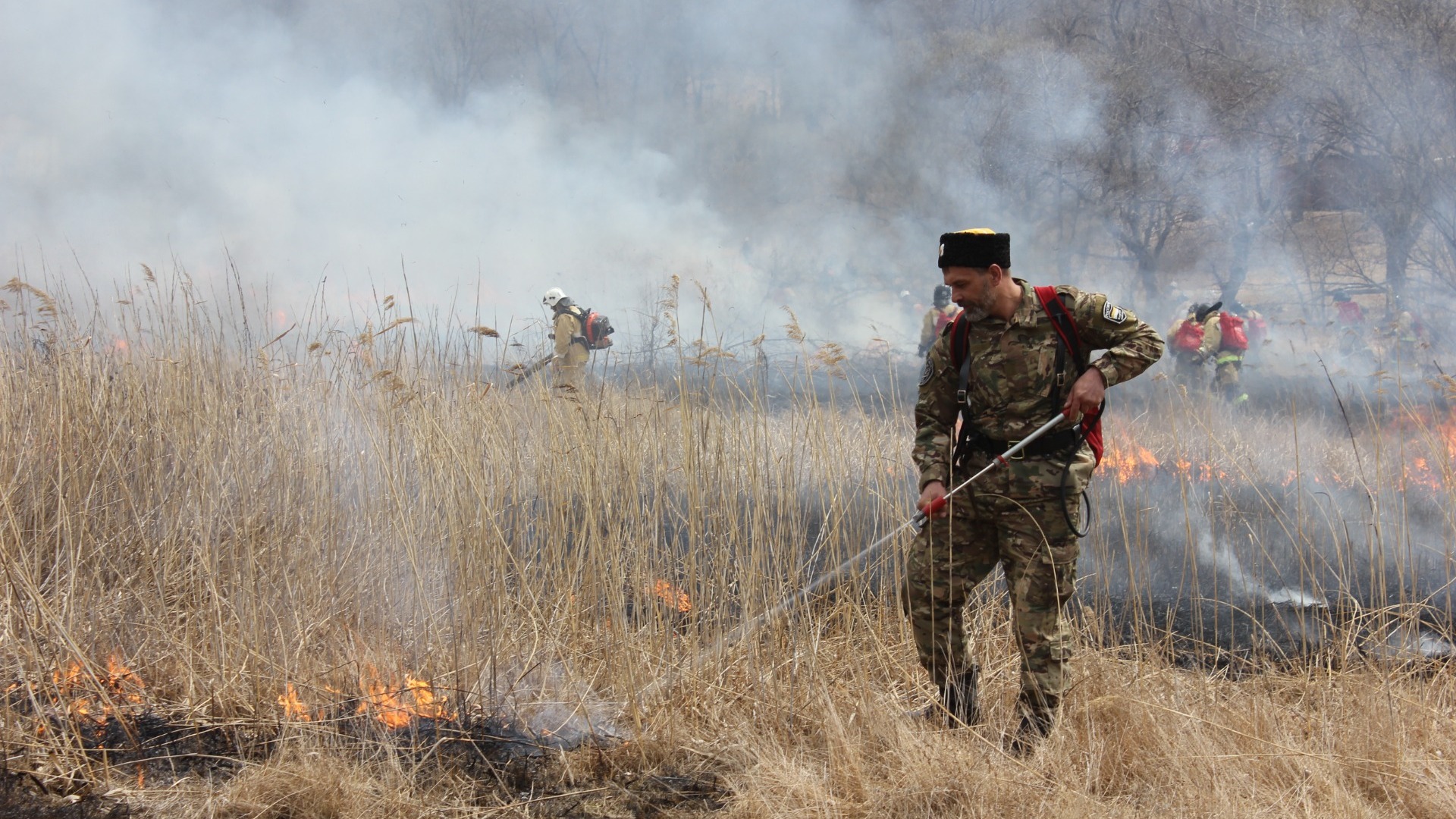 Жители Тюмени сообщили о лесном пожаре около Успенки