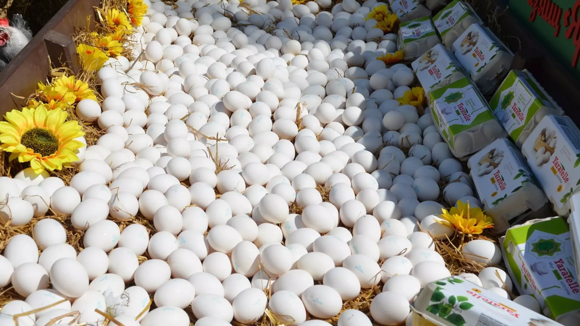 Рост цен на куриные яйца в Тюмени продолжился