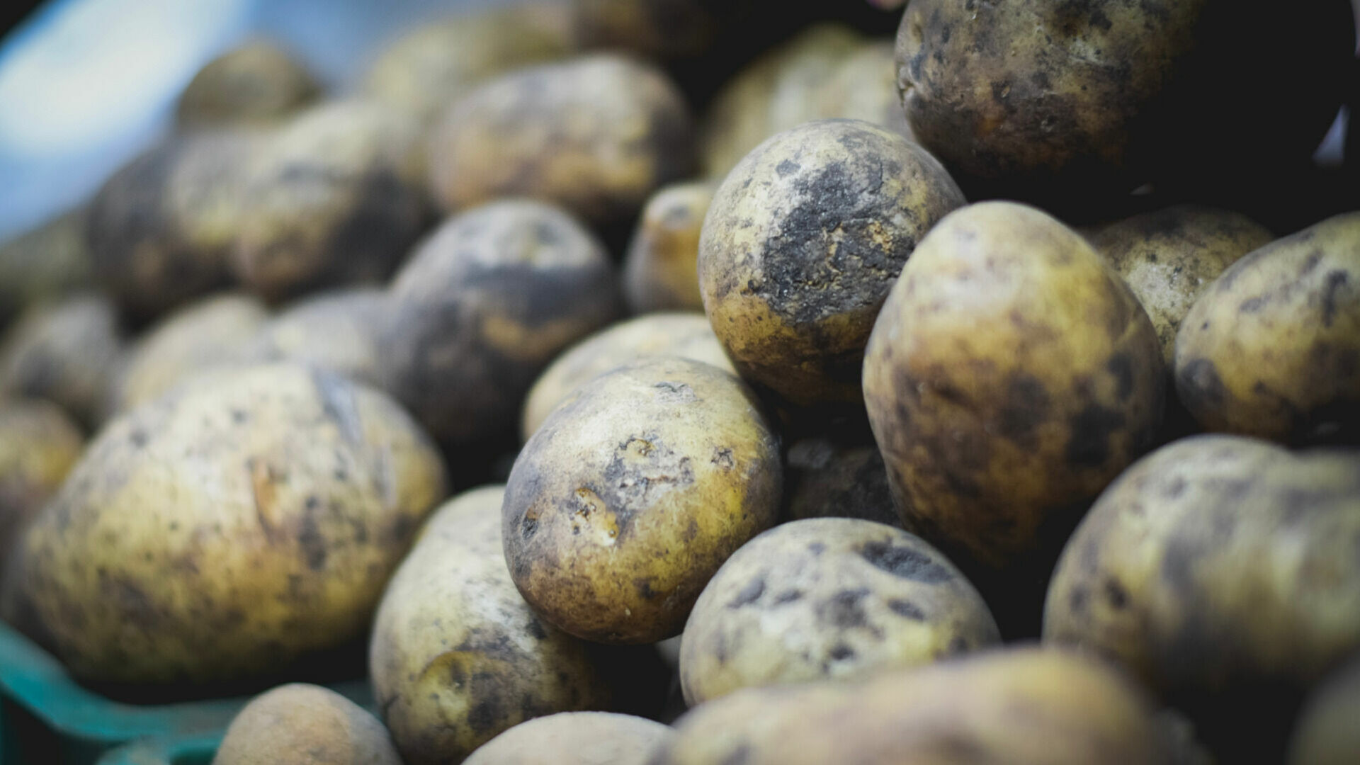 Тюменские курьеры прятали наркотики в клубнях картофеля