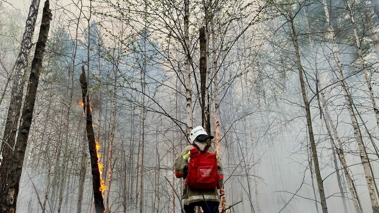 В Тюменской области действуют 8 лесных пожаров