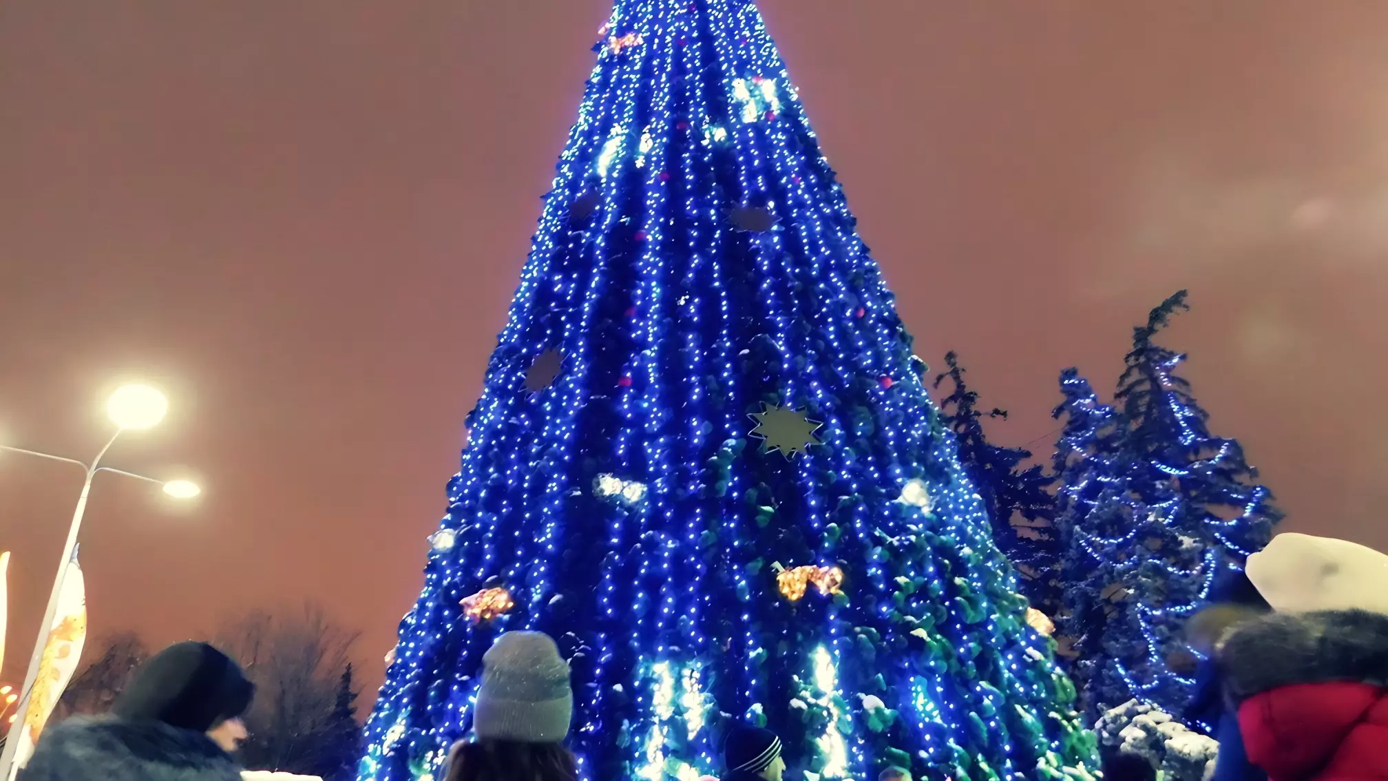 Тобольск украсят новогодними фигурами и большими елками