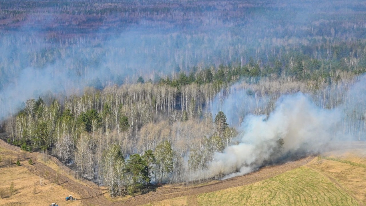 В Тюменской области растет число лесных пожаров