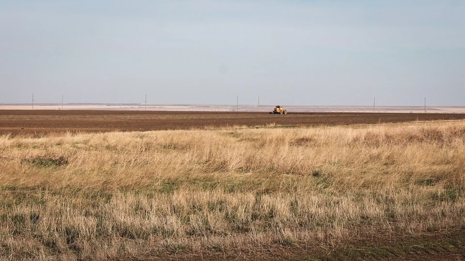 Зернотрейдеры считают, что зерно поможет диверсифицировать экономику России