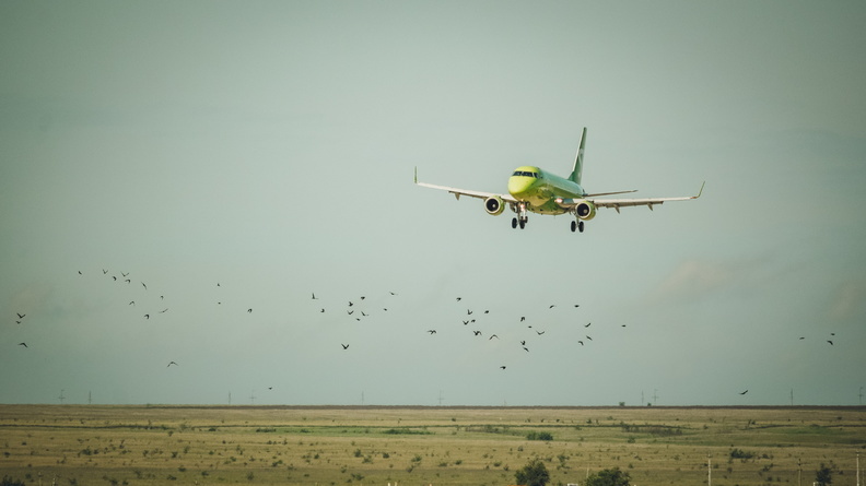 В аэропорту Кольцово самолёт столкнулся с птицей