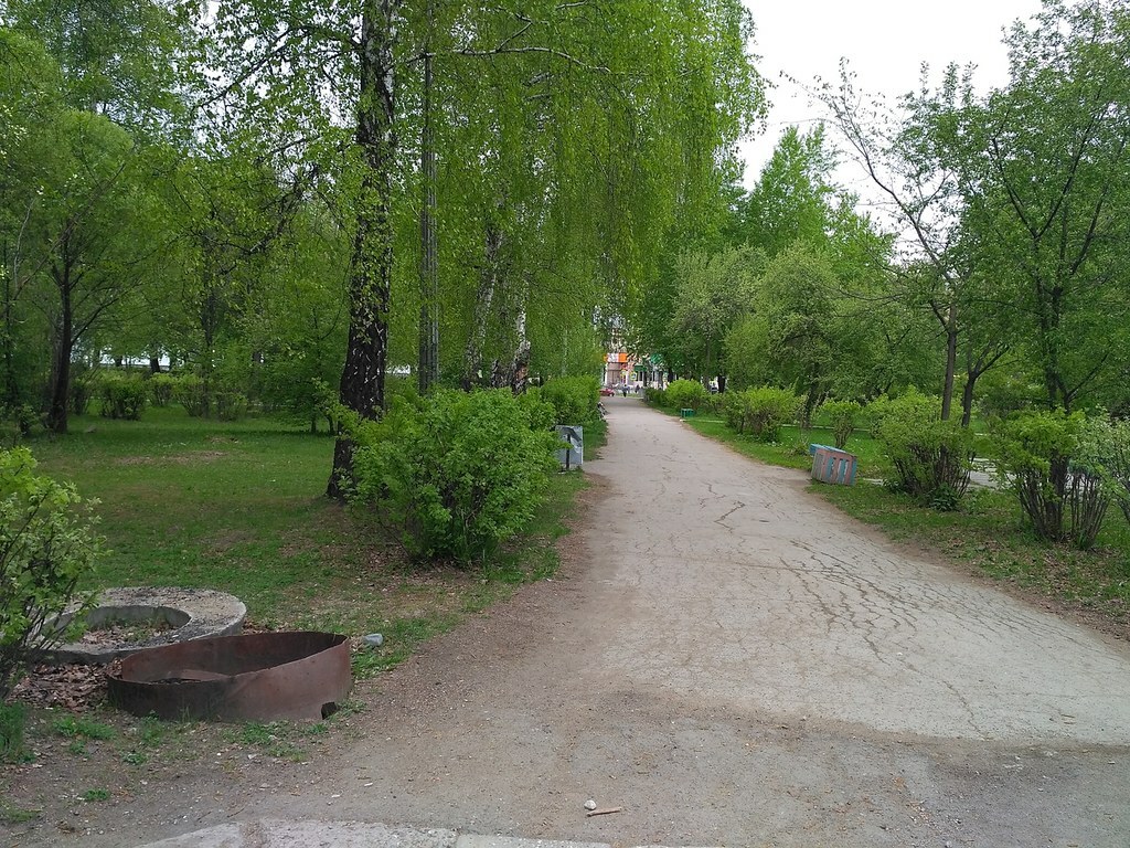 Возле пруда «Школьный» высадят более 200 деревьев и обустроят спортивную зону