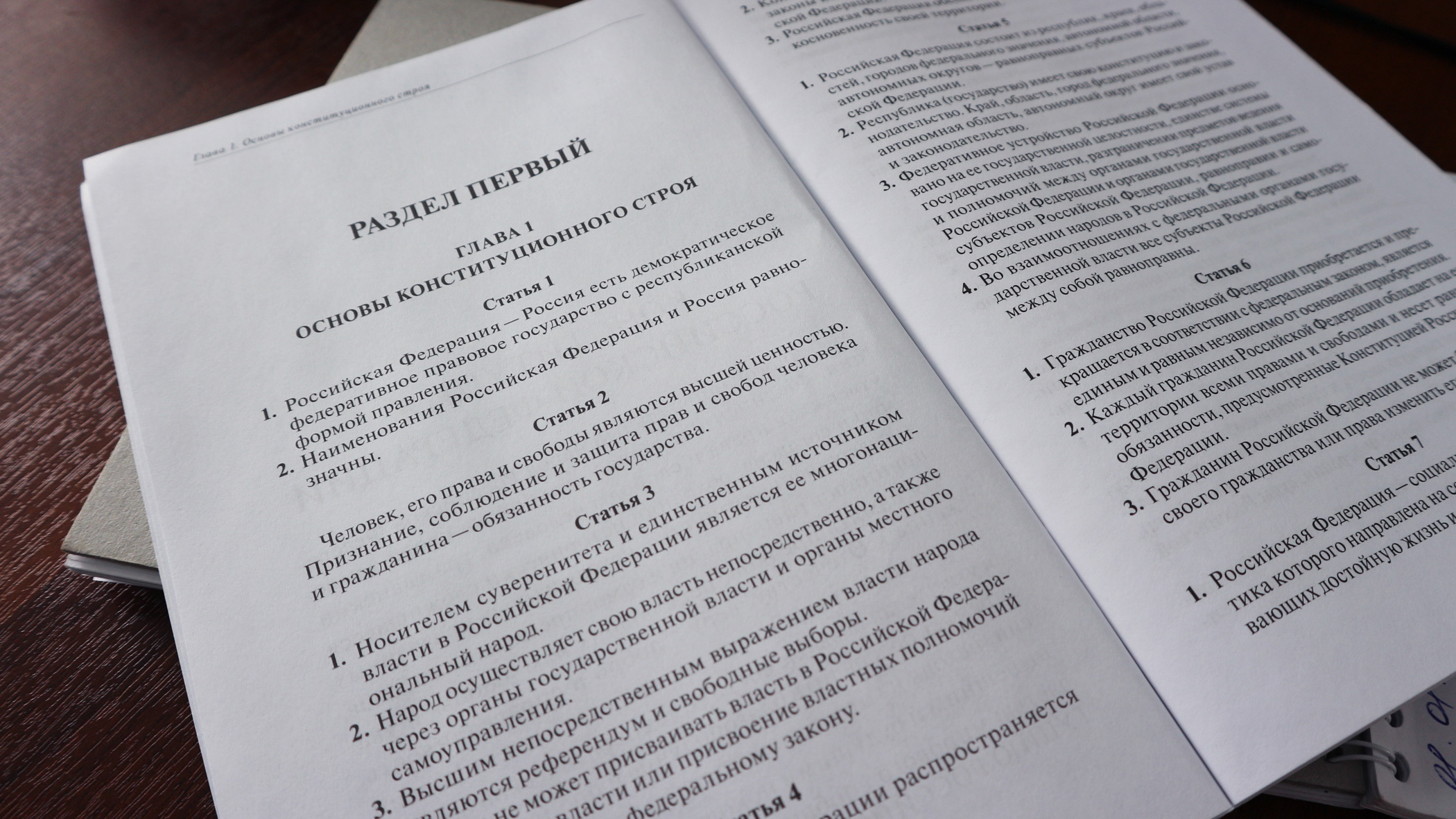 Конституция РФ с поправками «против» фальсификации истории и «за» мир на планете