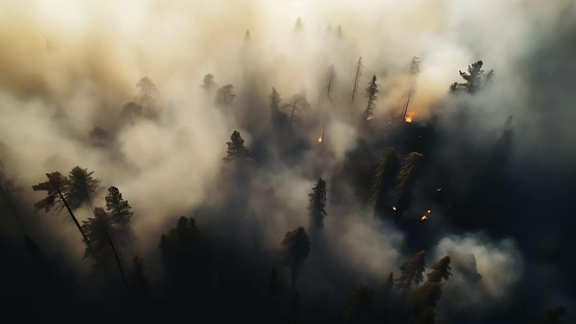 В Тюмени начался крупнейший за весну лесной пожар