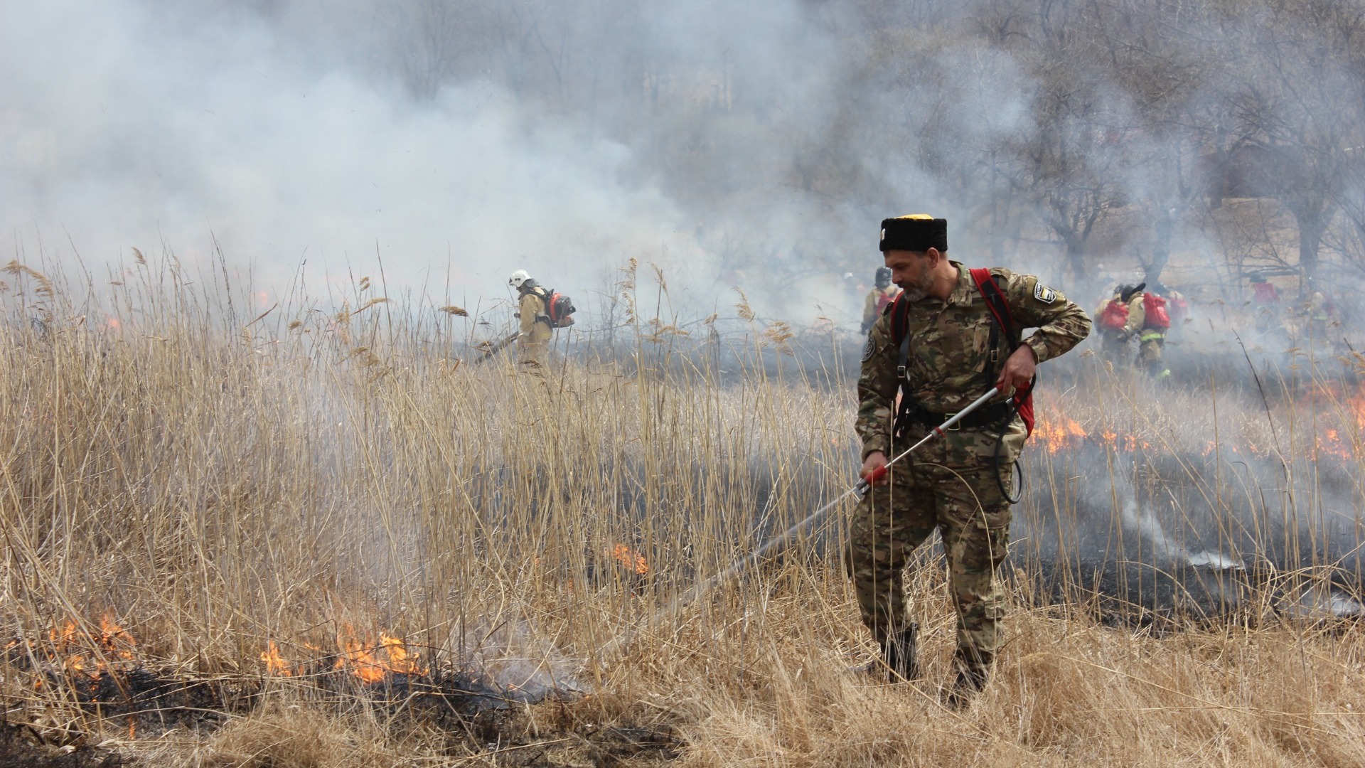 Сухая растительность загорелась в Тюмени на улице Пограничников