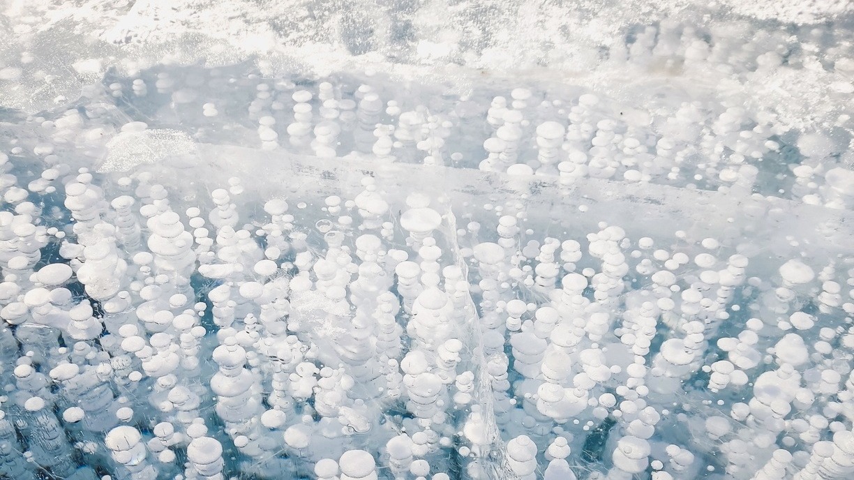 Конкурс «Билет в Арктику» станет пропуском в научную экспедицию