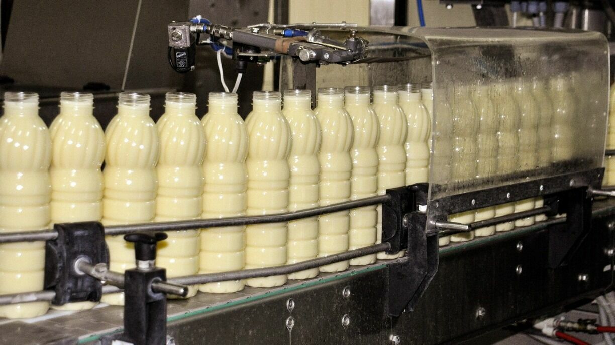 Молокозавод Тюменской области выпустил 209 тонн продукции из неизвестного сырья