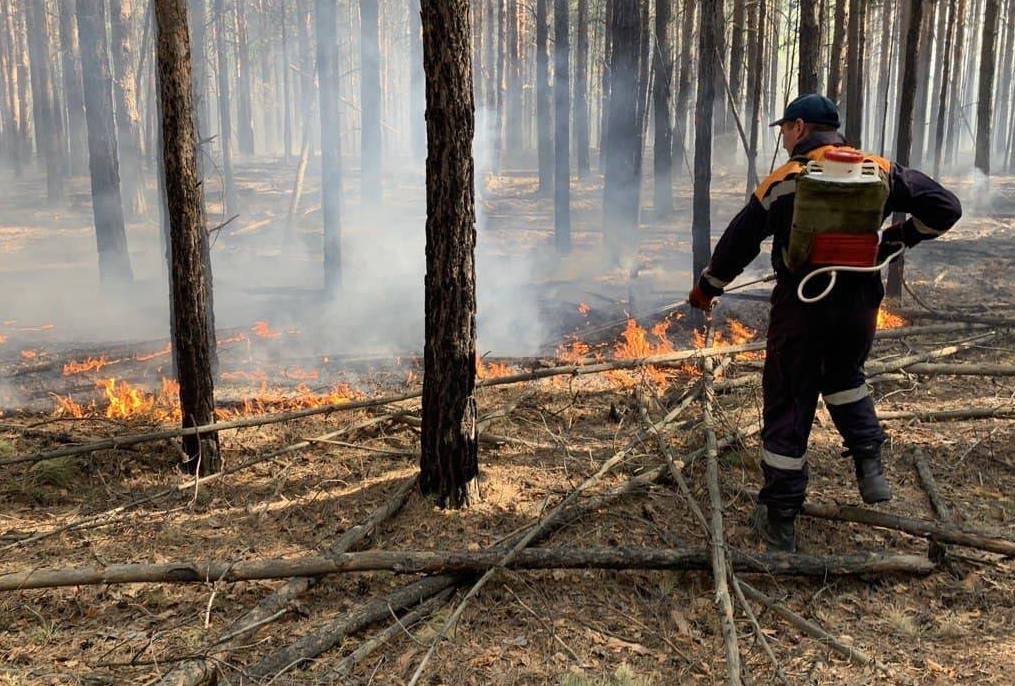 Погибший глава МЧС помогал Тюменской области тушить рекордные лесные пожары