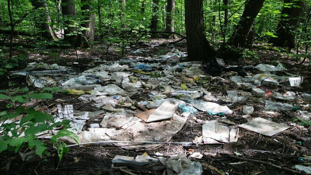 Свалки мусора в лесах Тюменской области