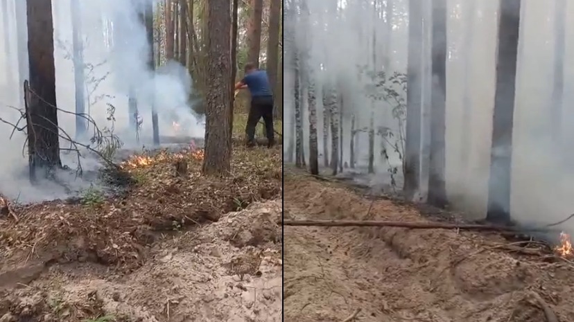 Тюменские грибники потушили ландшафтный пожар на Ирбитском тракте