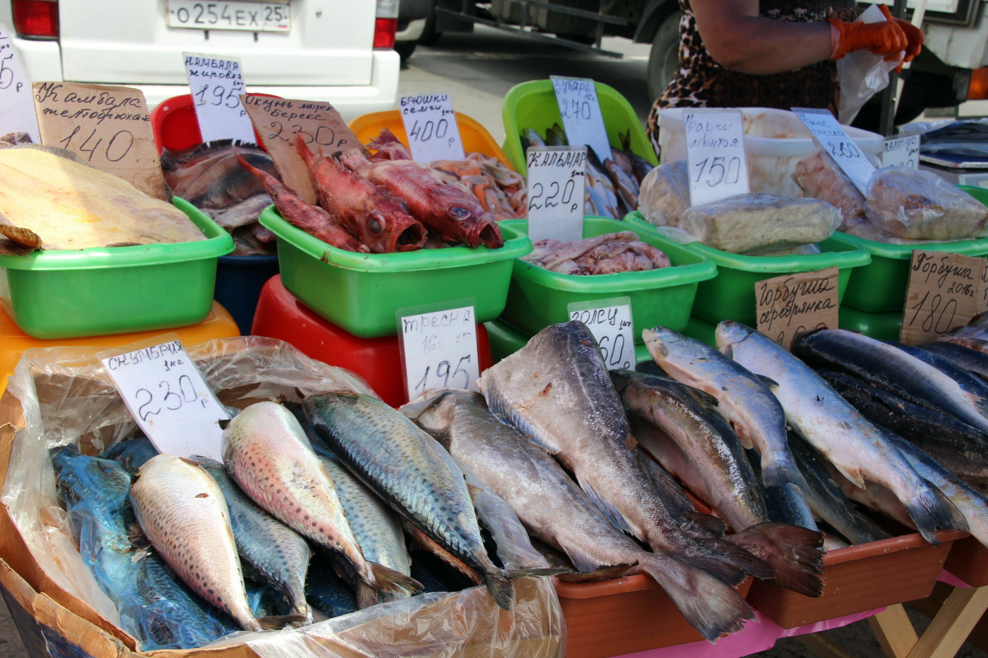 В Тюмени обнаружили восемь тонн просроченной рыбы и мяса.