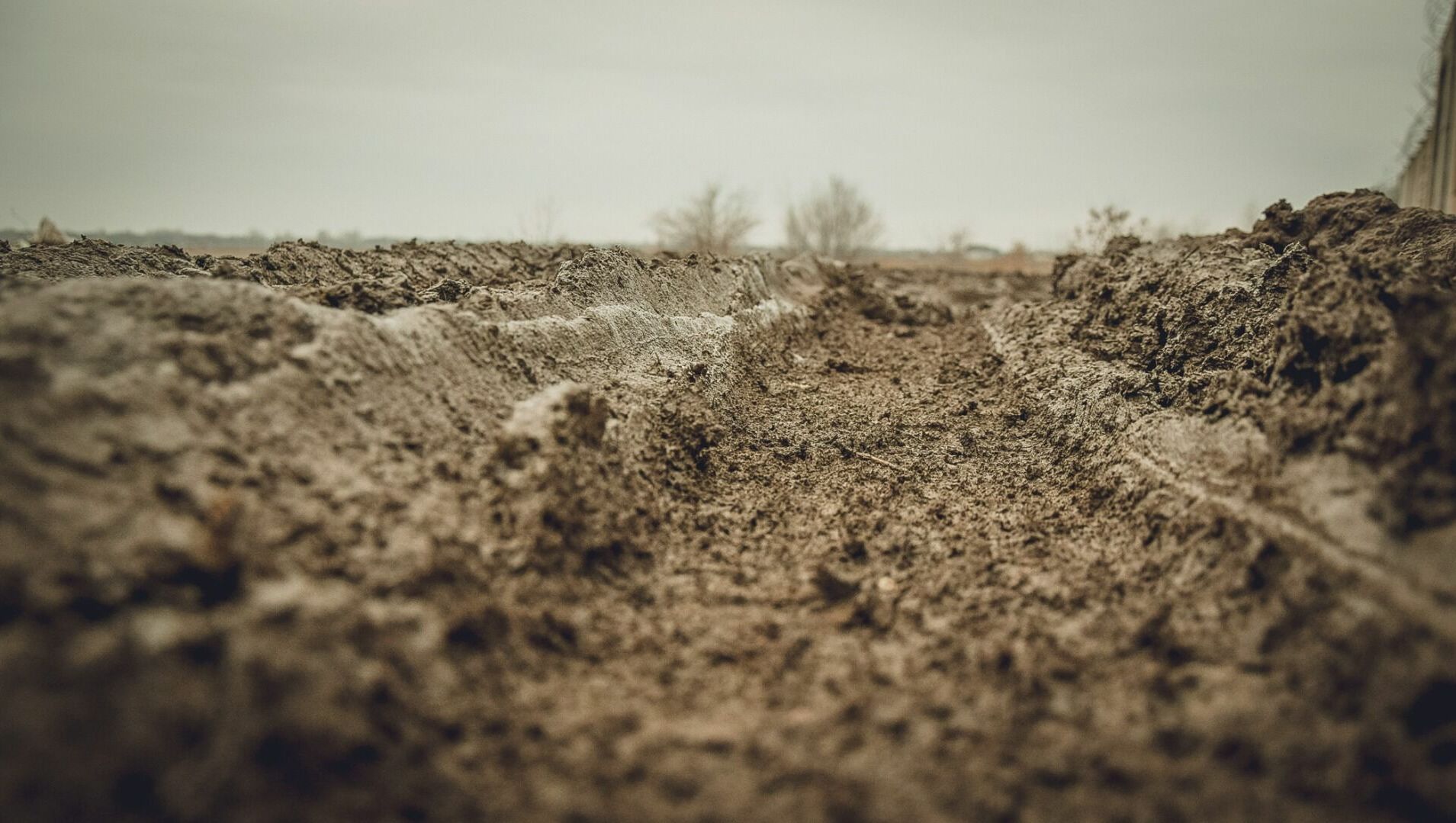 Жители поселка под Тюменью тонут в грязи из-за бездорожья