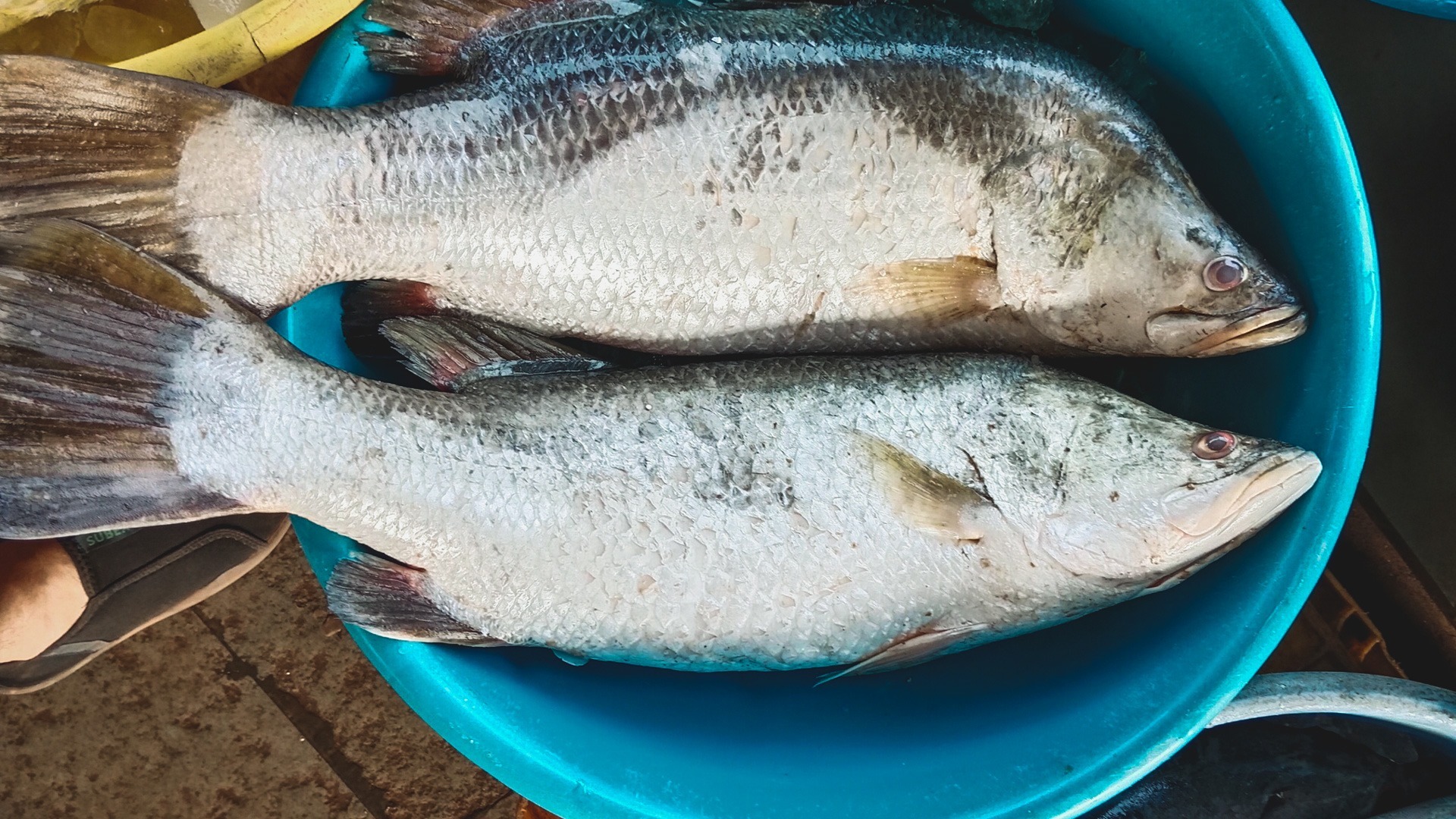 тюменская рыбалка
