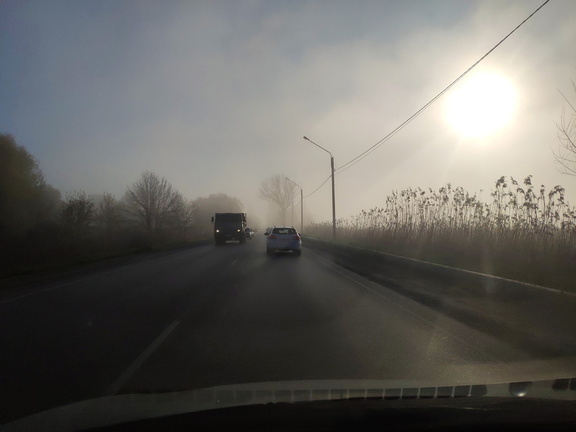 Тюменским водителям рассказали, как безопасно передвигаться в туман